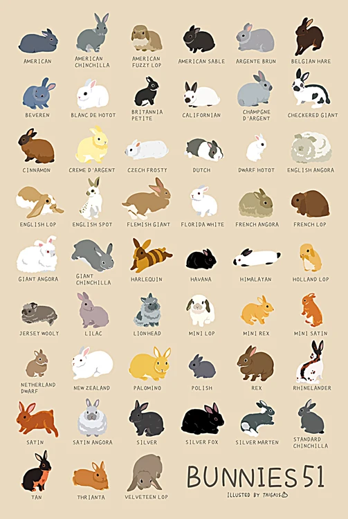 TB2uSZKfXXXXXX7XpXXXXXXXXXX_!!391260066