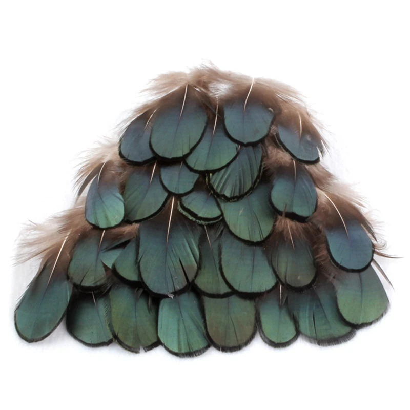 61SYcpvWbhL._SL1200_