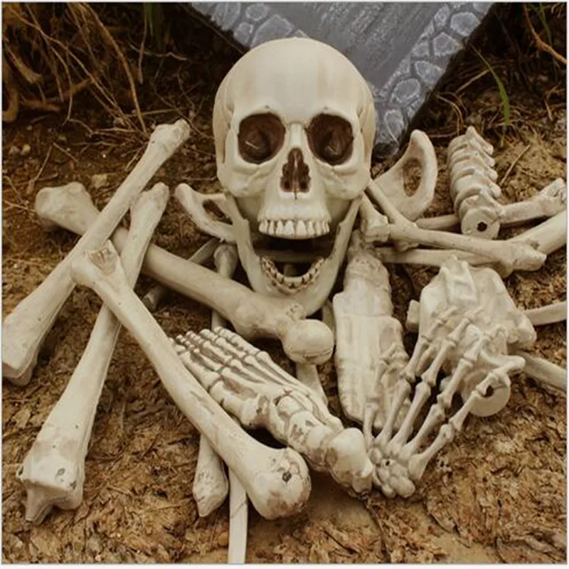 640+ Gambar Hantu Tengkorak Gratis