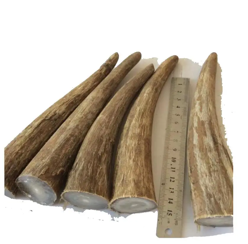 Natural African white yak buffalo Ox horn bone Engraving material Knife