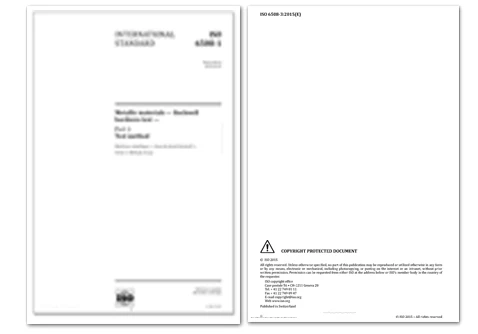 international-standard-12