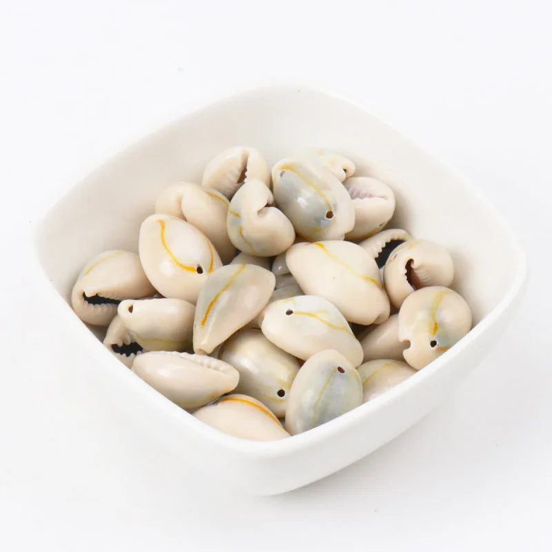 Spiral Shell SeaShells Conch for DIY handmade Home decoration jewelry making 10-25mm 20pcs