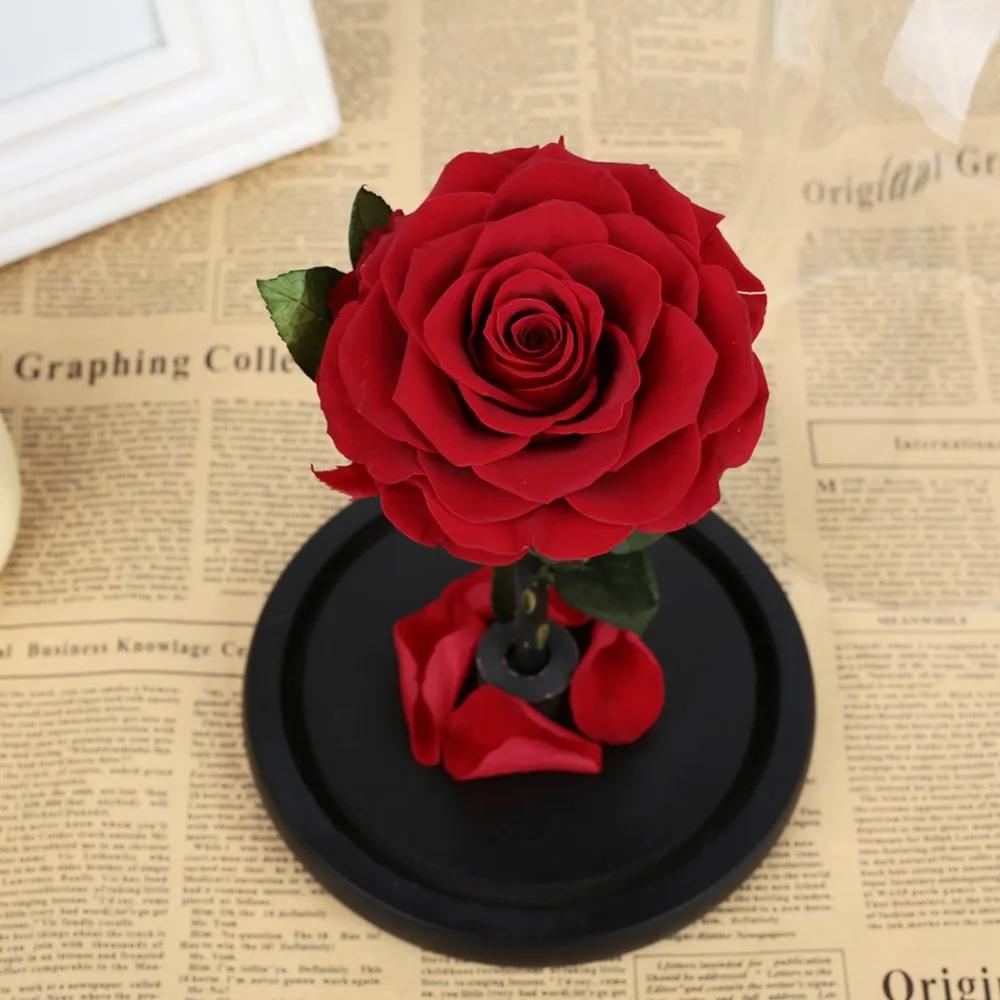 431254_34d0a887e2f64c63ae7edab9bbc57790