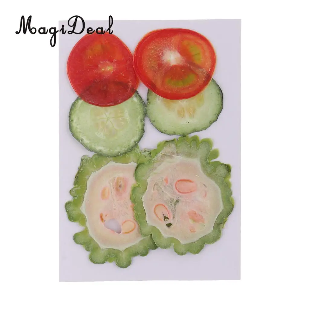 6Pcs Mix Dried Pressed Fruits Slices Plant Herbarium For Epoxy Resin Jewelry Making Phone Case Craft DIY Scrapbooking Decoration