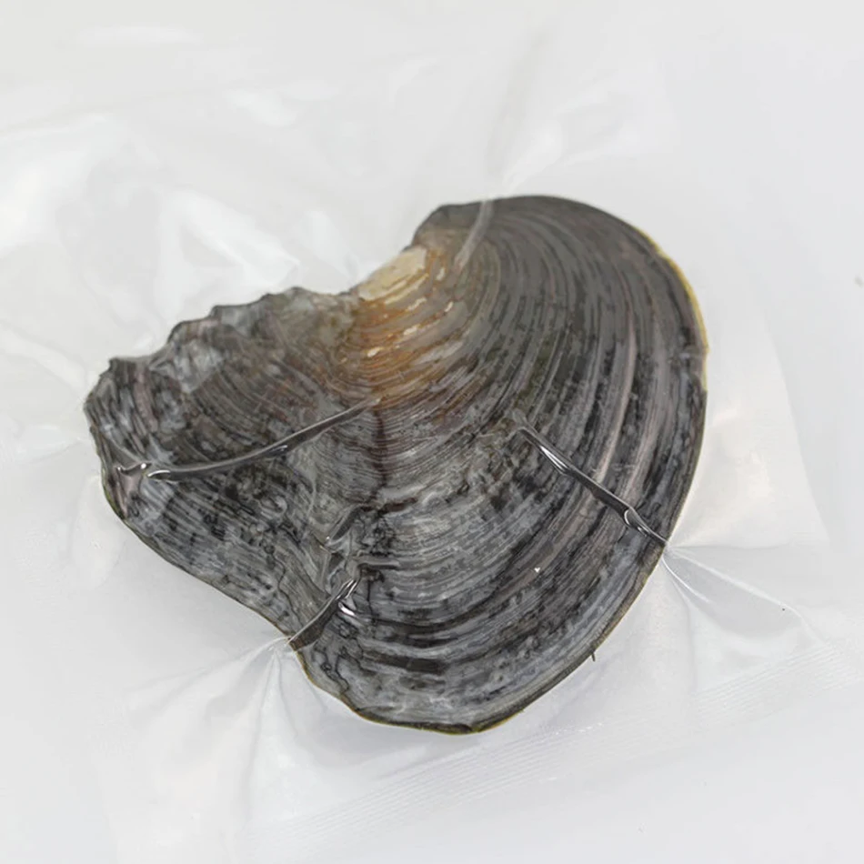 1 шт. 6 8 мм натуральный жемчуг Oysters Пресноводный Культивированный Овальный бисер