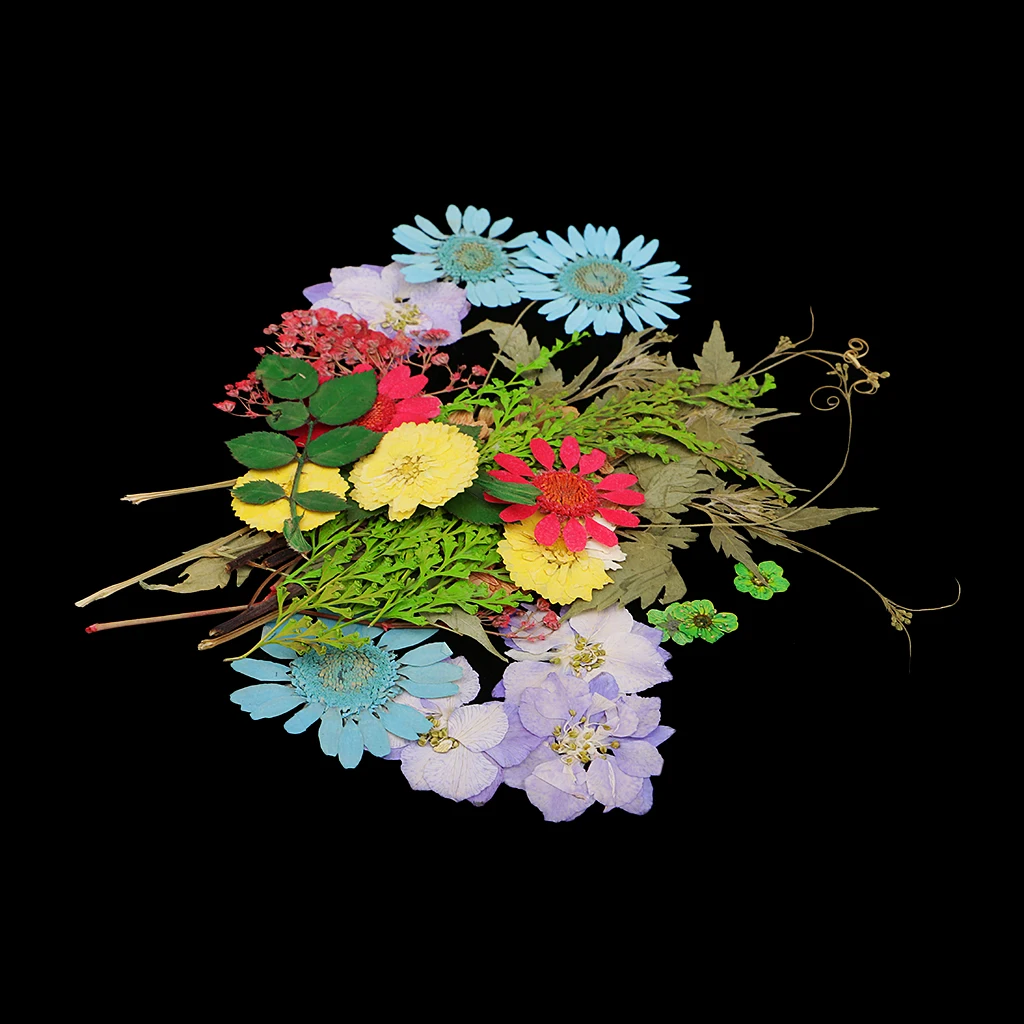 Pack of 50pcs Natural Dried Flower Real Flower Mixed For DIY Resin Ornament Craft Card Making Scrapbooking Embellishments