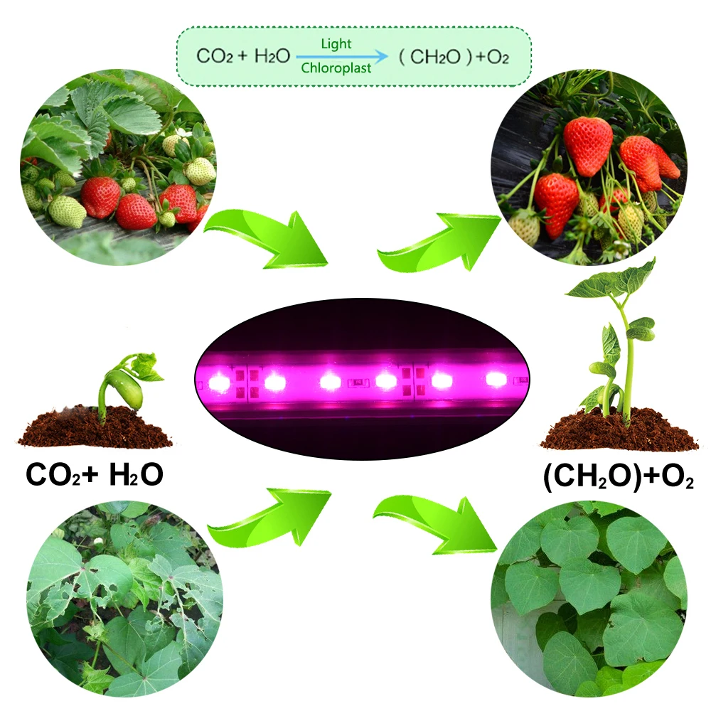 Фитосветодиод фитолампы grouboks лампа для выращивания растений лампа для цветов полного спектра лампа для растений гидропоника