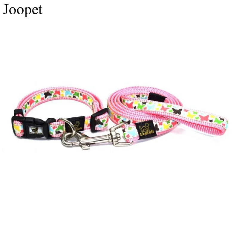 puppy dog collar and lead