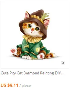 pity cat