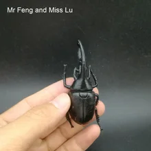 7,5 см Beetle модель игрушки Детские подарки Веселые животные обучающая игра умное изучение Науки развивающие игрушки