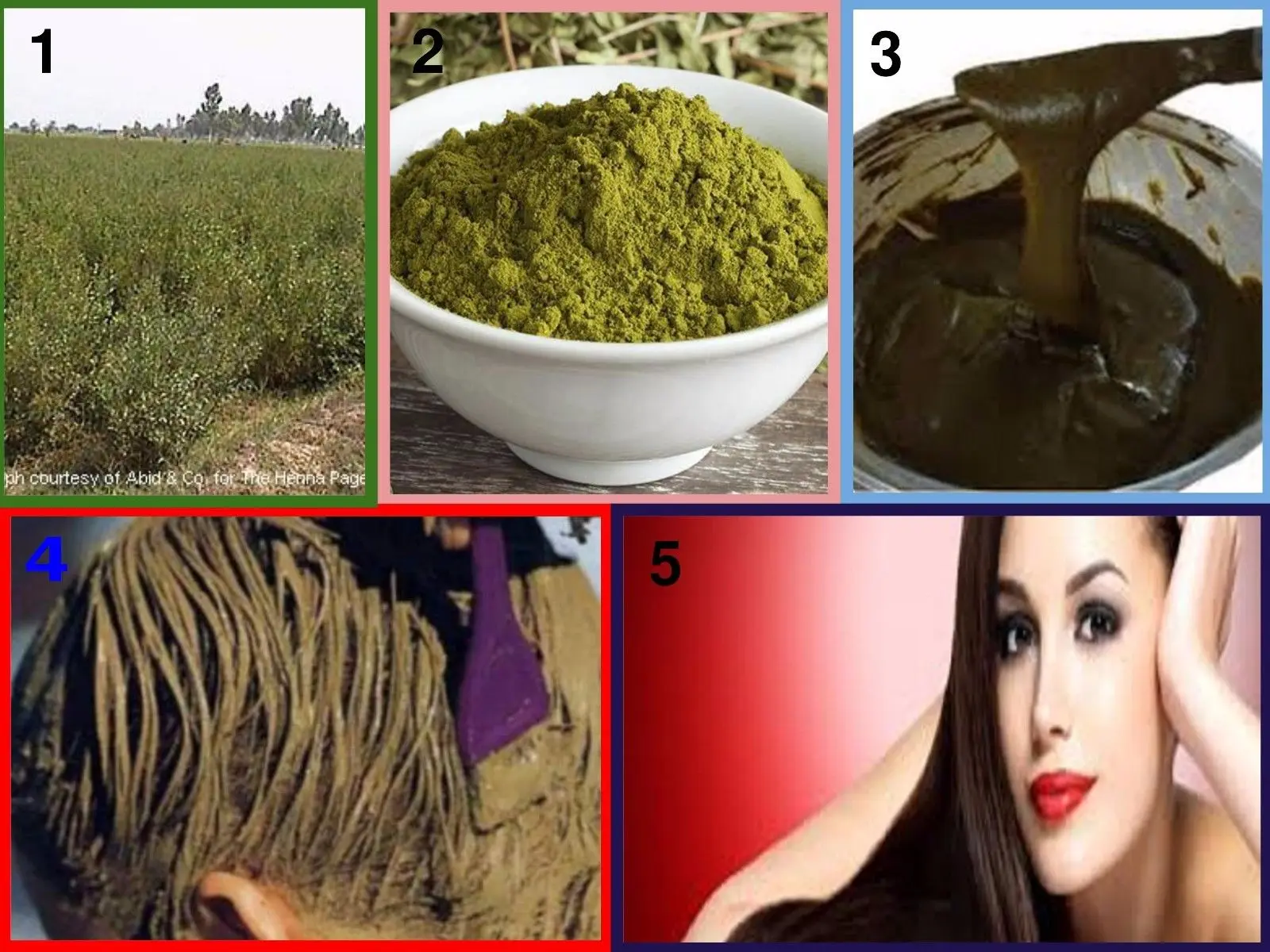 Good Quality 100 Pur Hannah Natural Hair Dye Powder Heena Indian
