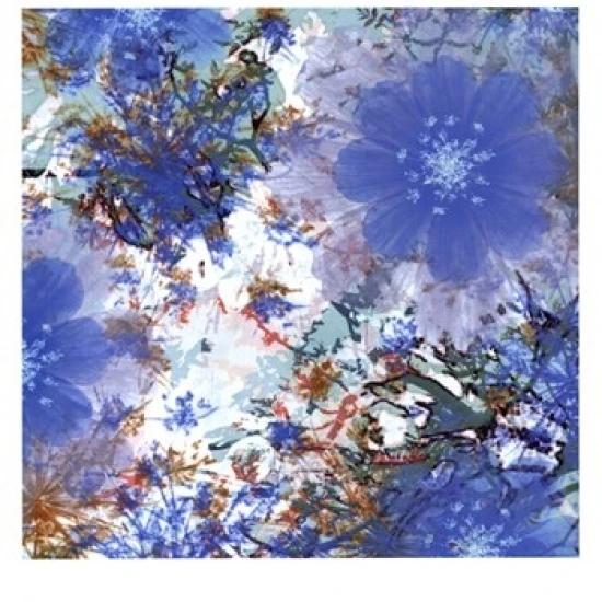 Abstract Pop VI Poster Print by Ricki Mountain (13 x 19)