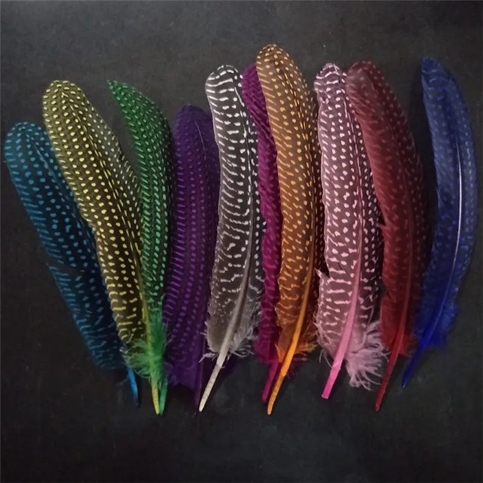 pearl pheasant feathers 1 (13)
