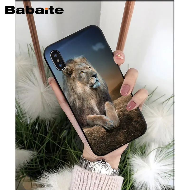 Animals lion