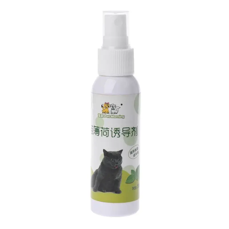

Cat Catnip Pet Training Toy Natural Healthy Cat Mint Funny Scratch Toy Spray