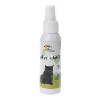 

Cat Catnip Pet Training Toy Natural Healthy Cat Mint Funny Scratch Toy Spray