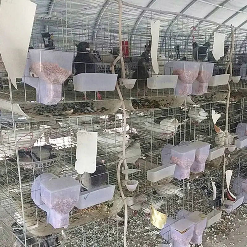 

Pigeon Feeder Automatic Single Hole Feeding Case Hanging Cage Birds Parrot Food Dispenser Device Box Container Accessories