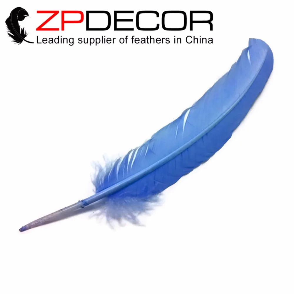 ZPDECOR 50pcs/lot Hand Select Sky Blue Turkey Rounds Quill Large