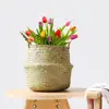 Garden Supplies