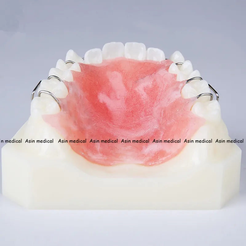 Высокое качество 1 шт. Стоматологическая Ортодонтическая техника модель с зубами тренер фиксатор скобки преподавания и науки