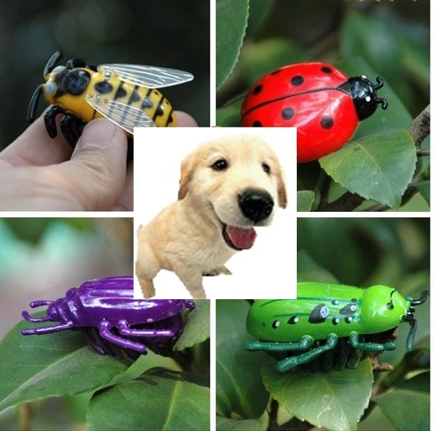 犬のおもちゃ小さな犬電気蜂 電気テントウムシ Aliexpress Alibaba グループ上の ホーム ガーデン からの おもちゃ の中