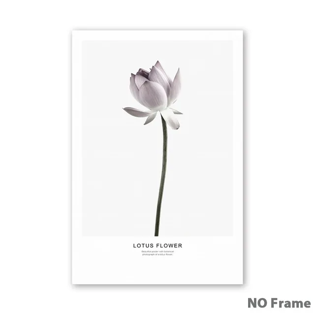 Simple-Nordic-Flower-Lotus-Brassica-Magnolia-Canvas-Art-Prints-posters-Living-Room-Wall-Pictures-Home-Decor.jpg_640x640