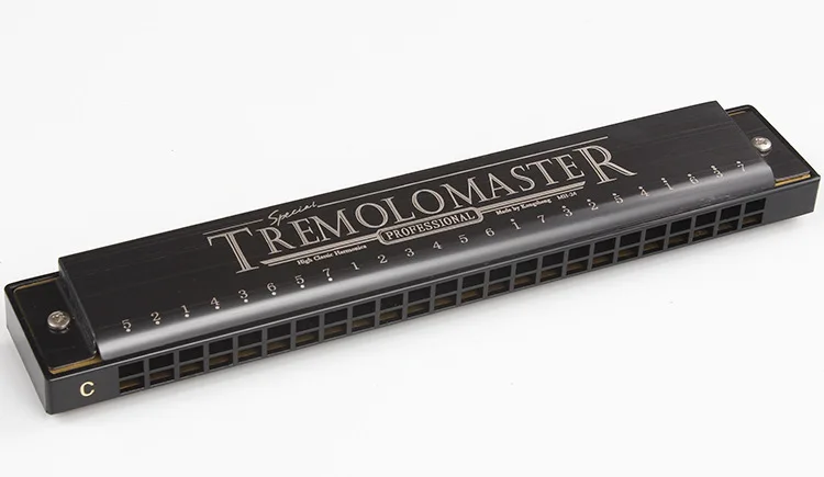 24 Отверстия TREMOLO Master Губная гармошка для взрослых студентов играть начинающих C Губная гармошка студентов колледжа