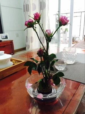 Японский икебана kenzans цветочный аранжирование фиксированная База держатель инструменты цветок колючая лягушка булавка черный и зеленый kenzans иглы