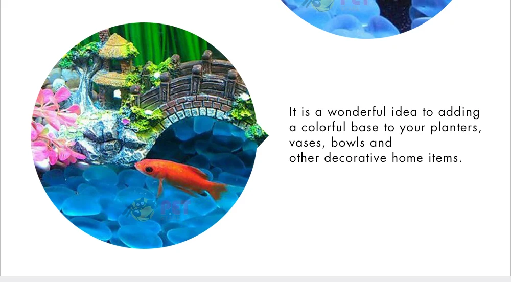 Get Strand aquarium dekorationen For iPhone Free