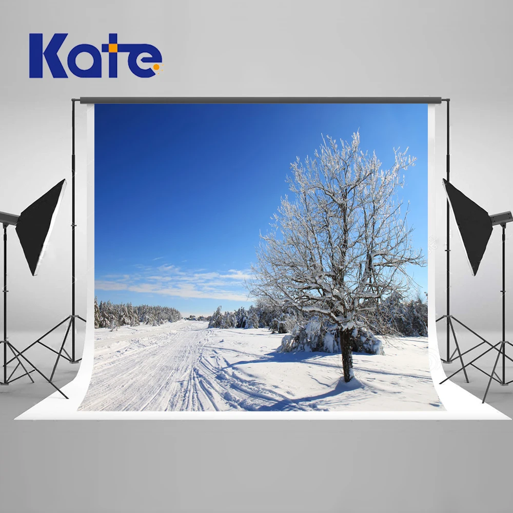 

Kate Winter Snow Photography Backdrops Ice Trees Blue Sky Backgrounds For Photo Studio Scenic Microfiber Backdarops