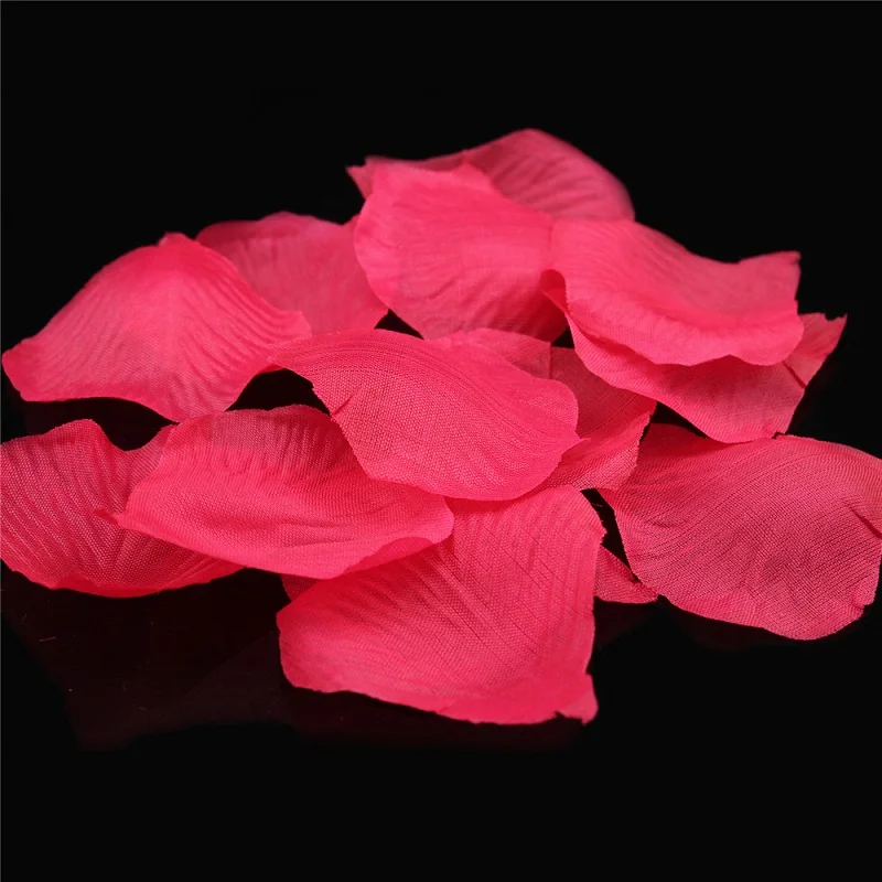 C31-C01rose (1)