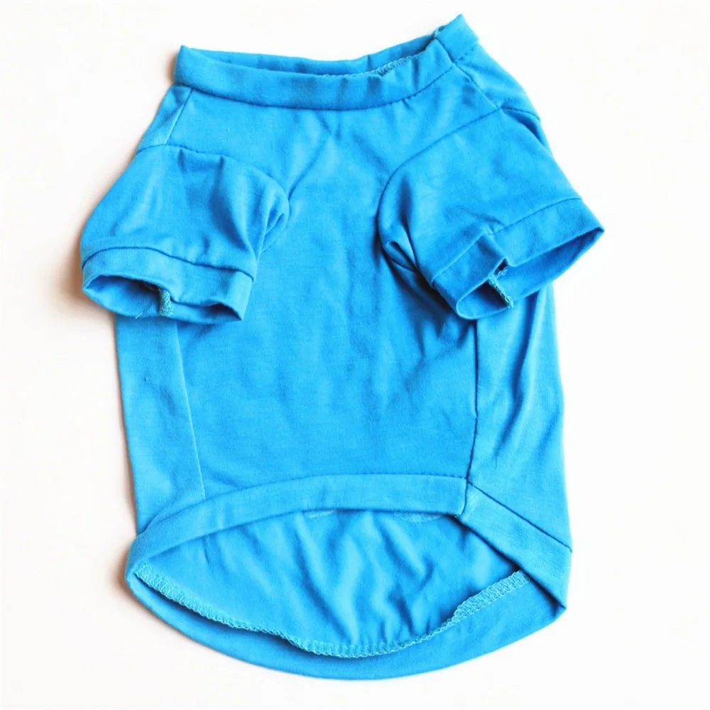 5270379080_361259826