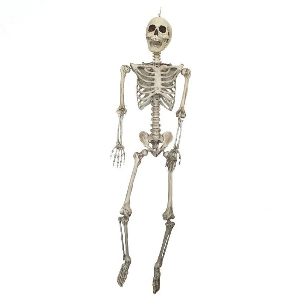 6 Feet Jointed Horrible Skeletons Skull Bones Haunted House Halloween