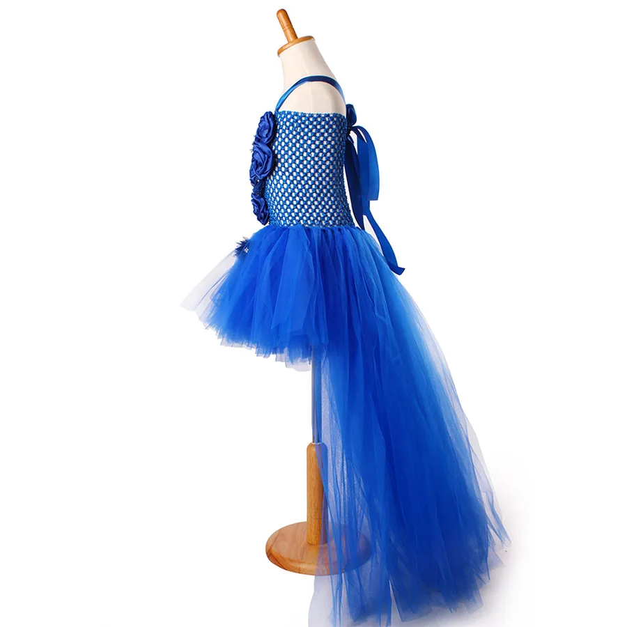 Kids Princess Blue Flowers Long Tail Tutu Dress Baby Girls Summer Tulle Wedding (9)