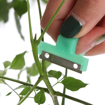 

1PC Garden V Flat T Model Tomato Cucumber Grape Fruit Blade Tool Ring Melon Scissors