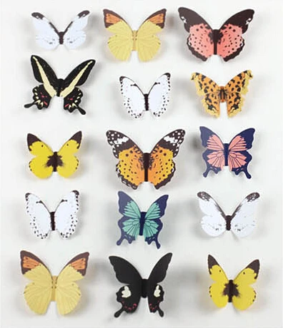 M butterfly essay
