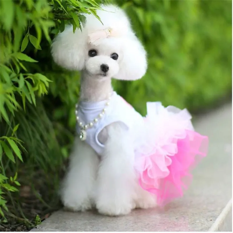 Одежда для собак; платье для маленьких собак; милое платье принцессы; сезон весна-лето; кружевное платье для маленьких собак; платье принцессы для чихуахуа; Mascotas Roupa
