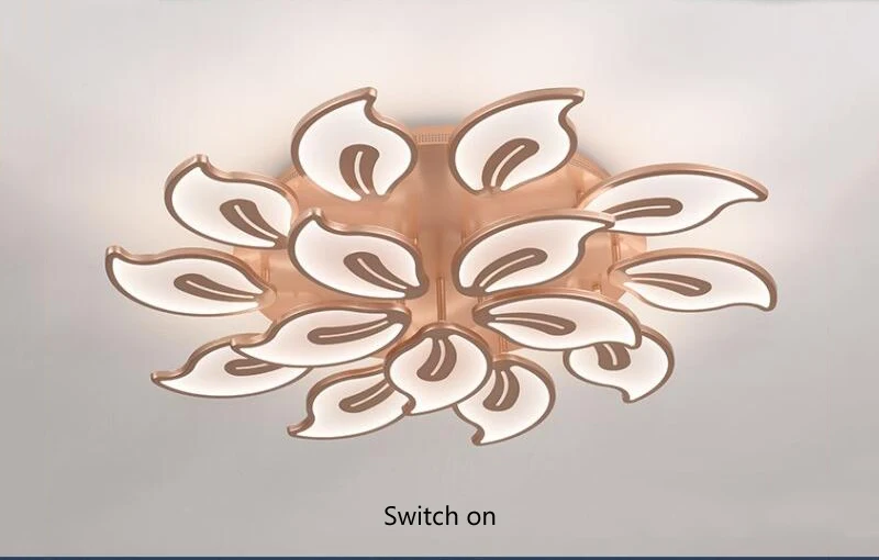 gold chandelier (35)
