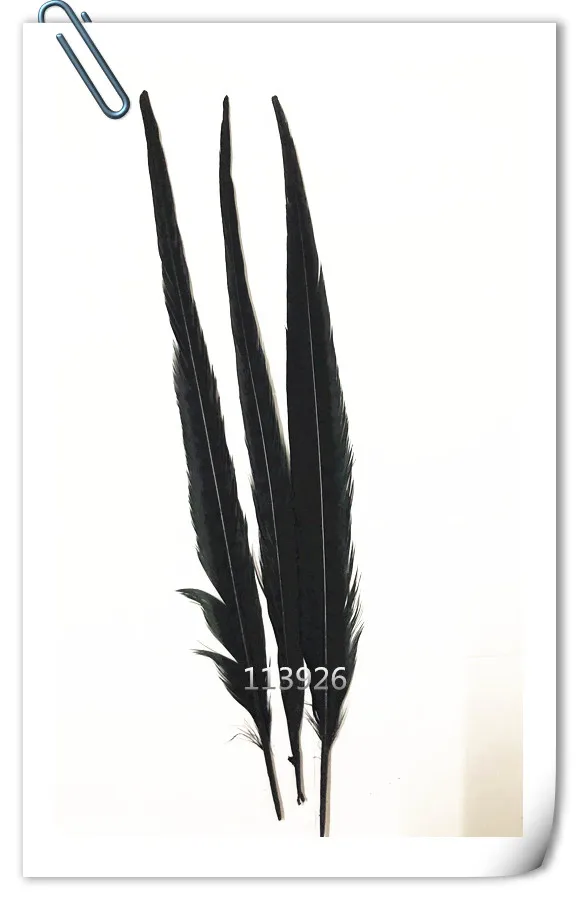 New!100pcs natural pheasant feather 20 22 inch Ringneck Pheasant tail