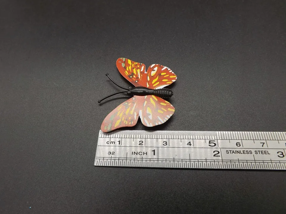 I255-Butterfly (11)