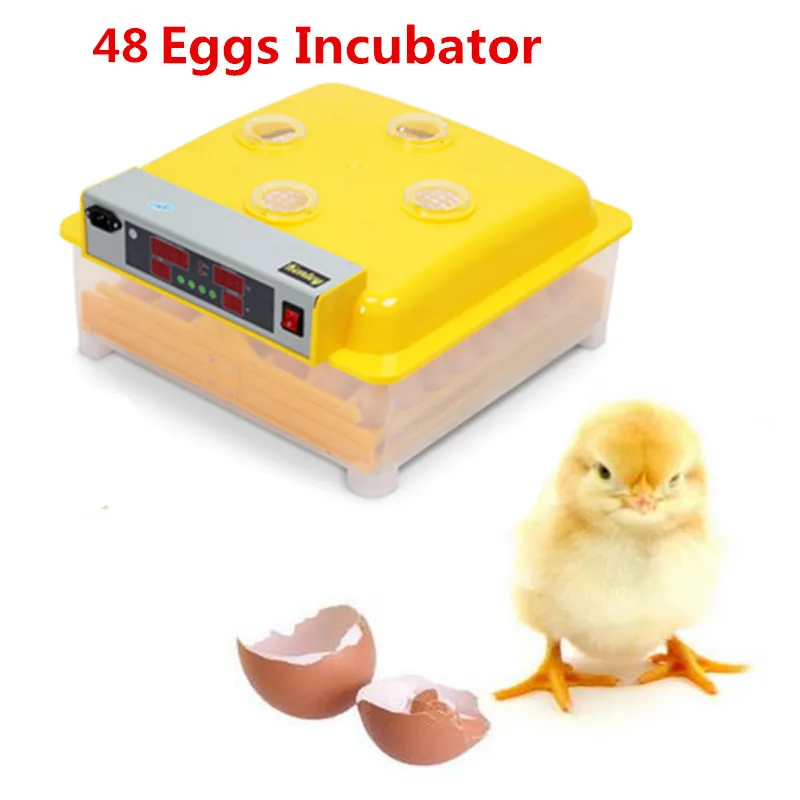Best Price Household commercial cheap egg incubator chicken brooder for sale chicken incubator machine chicken school