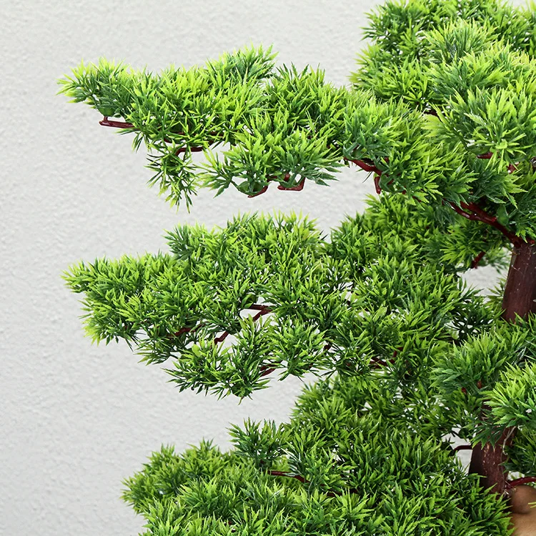 Спиральное дерево. Along tree. Boxwood ball on a high trunk. Пальма столб. Самшит.