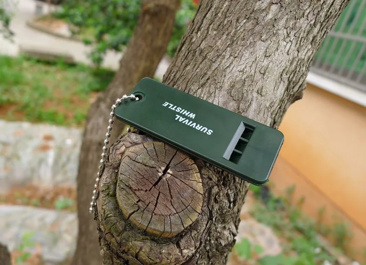 1508025100_224176411