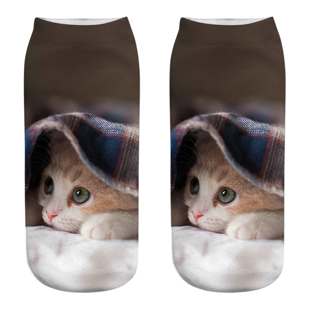 9365803520_520631427