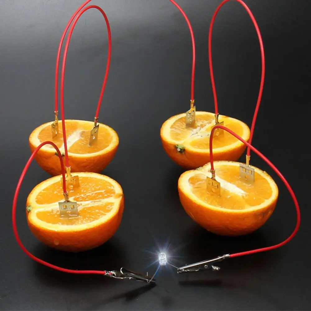 Fruit Battery Kit Experiment Ausrüstung Stromgenerator Wissenschaft Projekt 