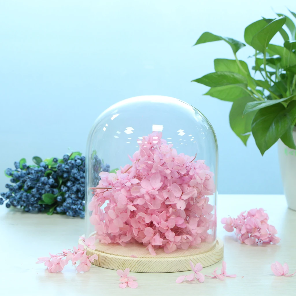 Wooden Base Glass Cloche Dome Cover Display Jar Centerpiece Tabletop Decoration
