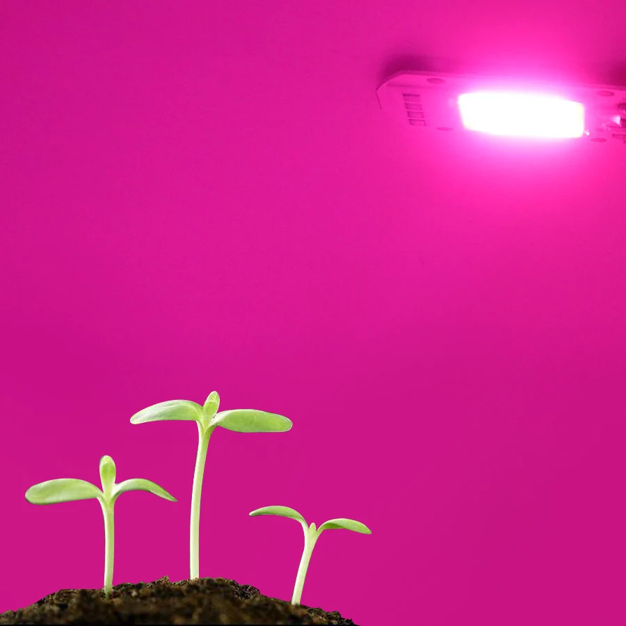 Полный спектр светодиодный светильник для выращивания Гидропоника переменного тока 220 В 20 Вт 30 Вт 50 Вт 100 Вт для внутреннего сада DIY рост и цветение