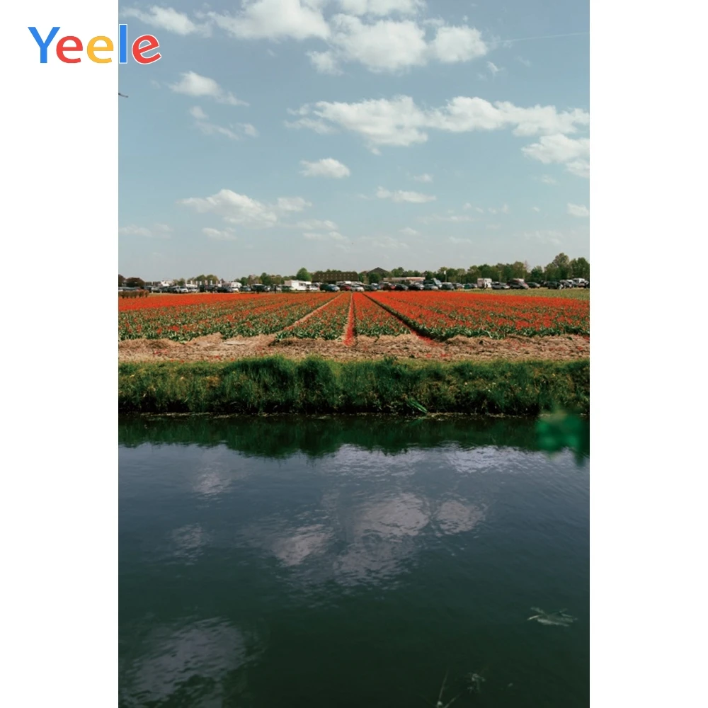Фон для фотосъемки Yeele пейзаж Декор цветы море река персонализированные фоны