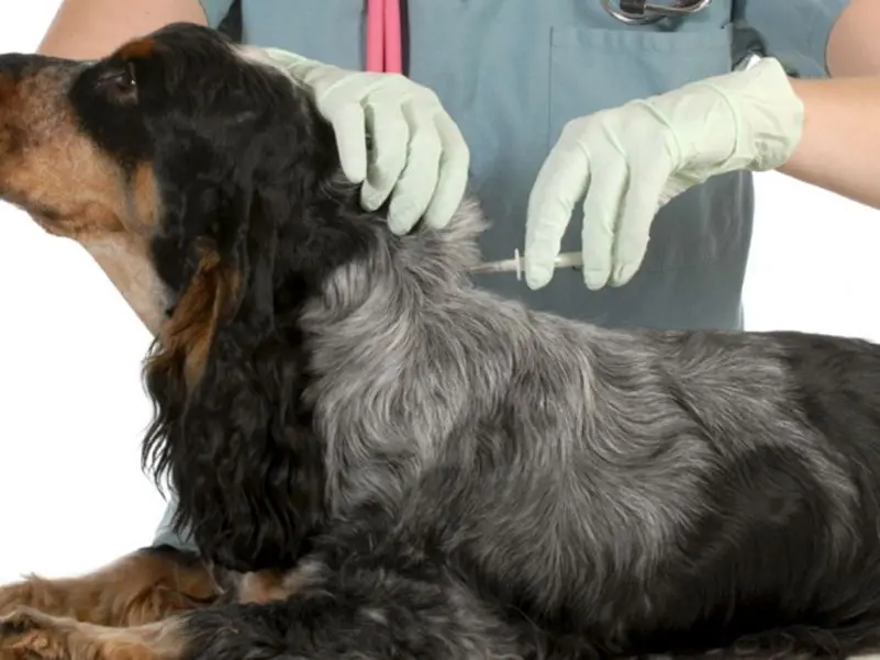 HTB1FhXXSFXXXXXXaFXXq6xXFXXXY