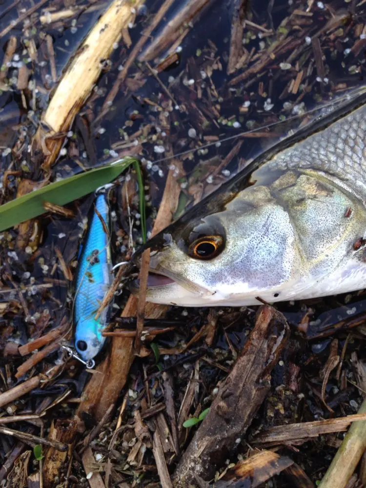 UTB8PisOXofEXKJk43PUq6yUIXXaF